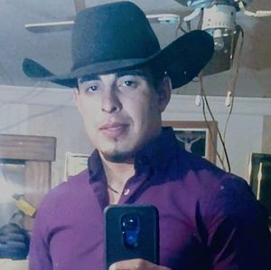 Meet your Posher, Leonardo